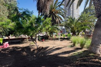 WhatsApp Image 2026-04-01 at 16.03.41.jpeg